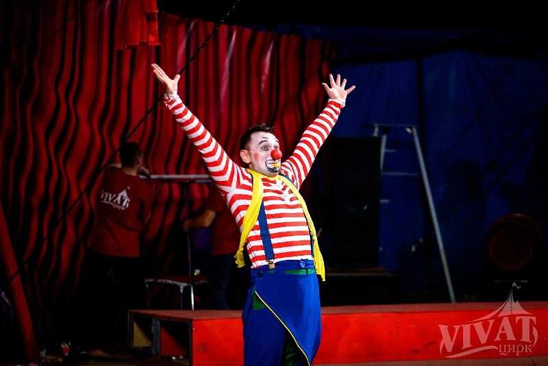 В Челябинск приедет цирковое шоу Vivat