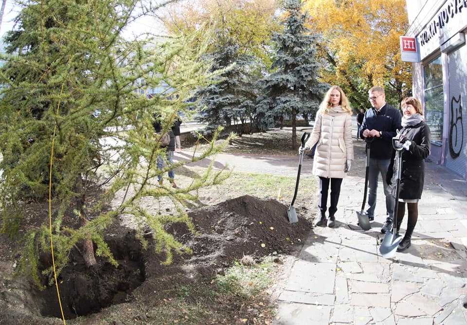На Алом поле в Челябинске высадили новые даурские лиственницы