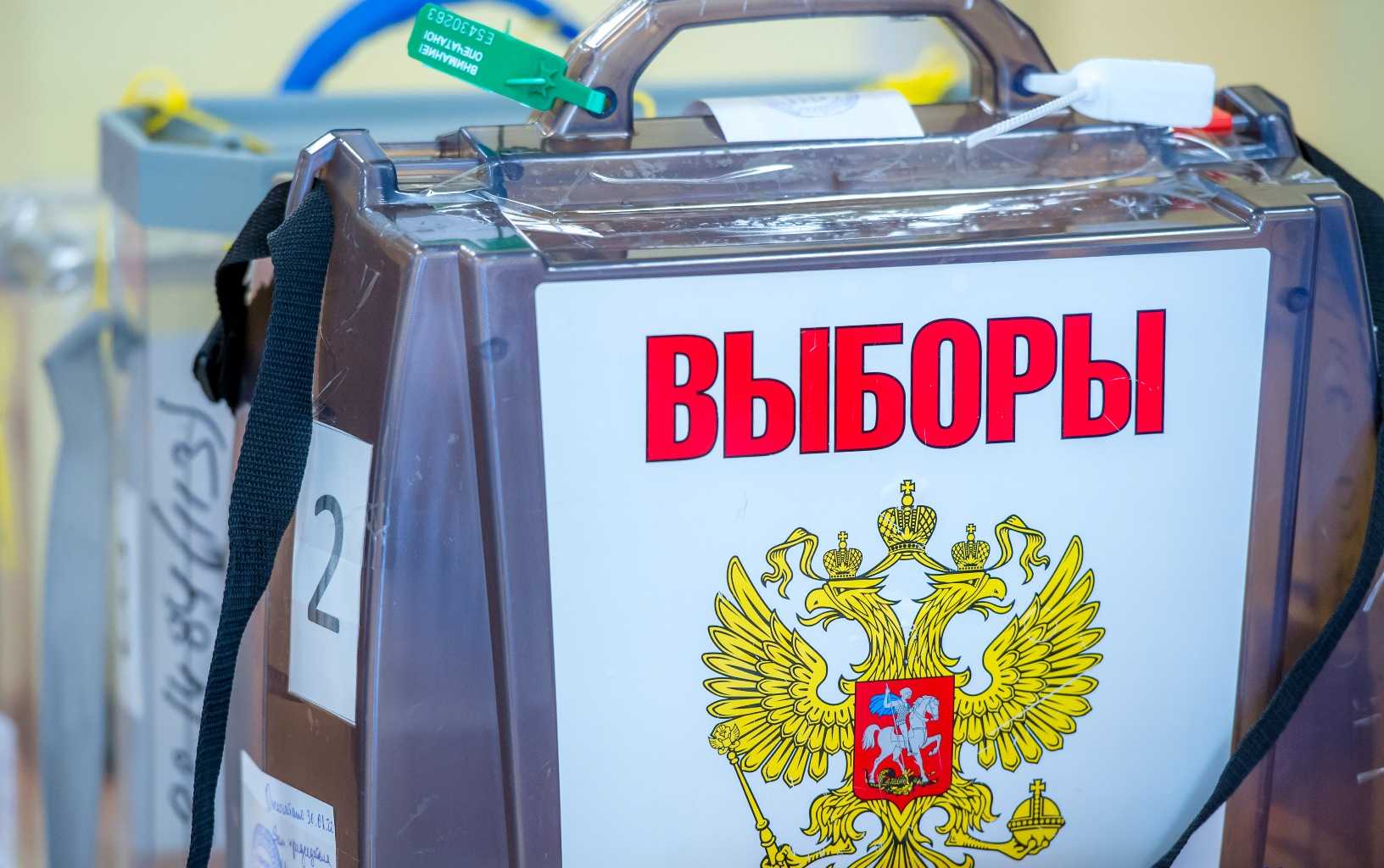 Южноуральцы могут проголосовать на выборах дистанционно