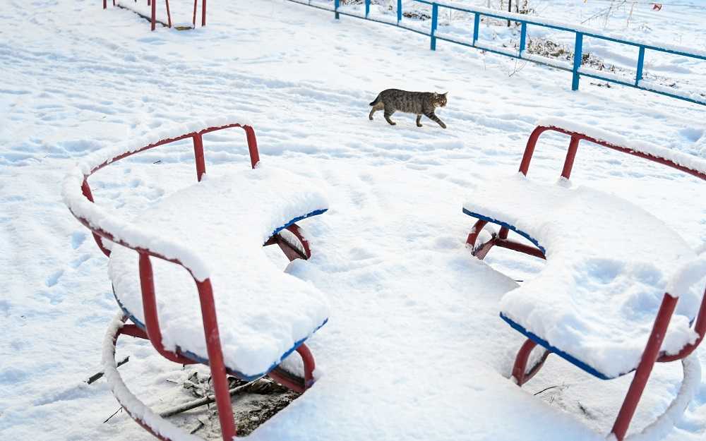 В каких классах в школах Челябинска 23 января отменяют уроки из-за сильного мороза