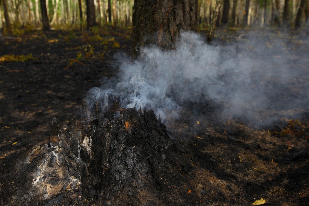 Челябинская область достигла стопроцентной оперативности в тушении лесных пожаров