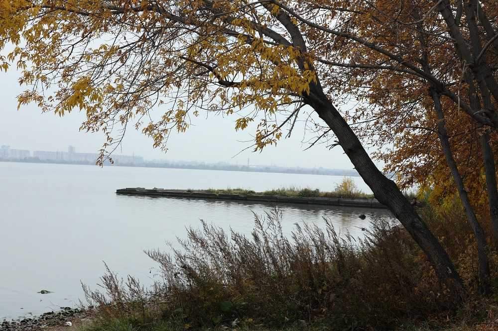 В Челябинской области запустят три проекта по защите озера Тургояк