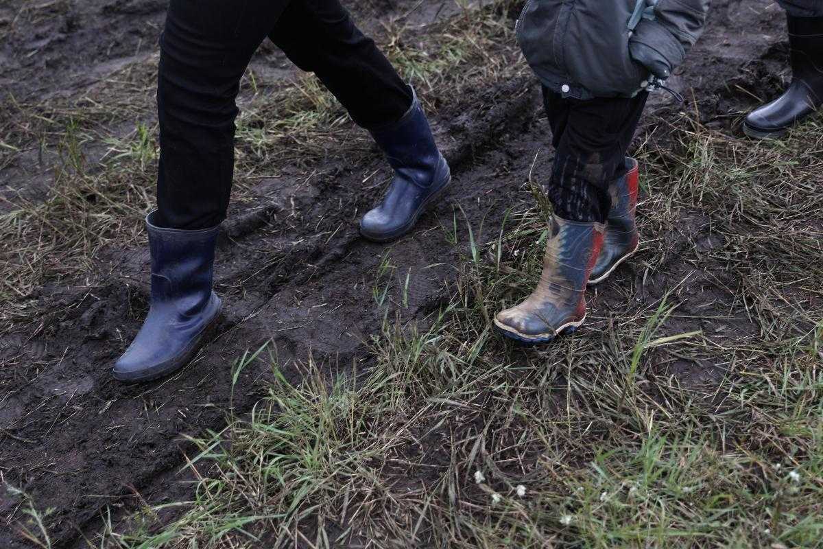 На Южном Урале порядка 17,5 тысяч гектаров сельхозземель заросло сорняками