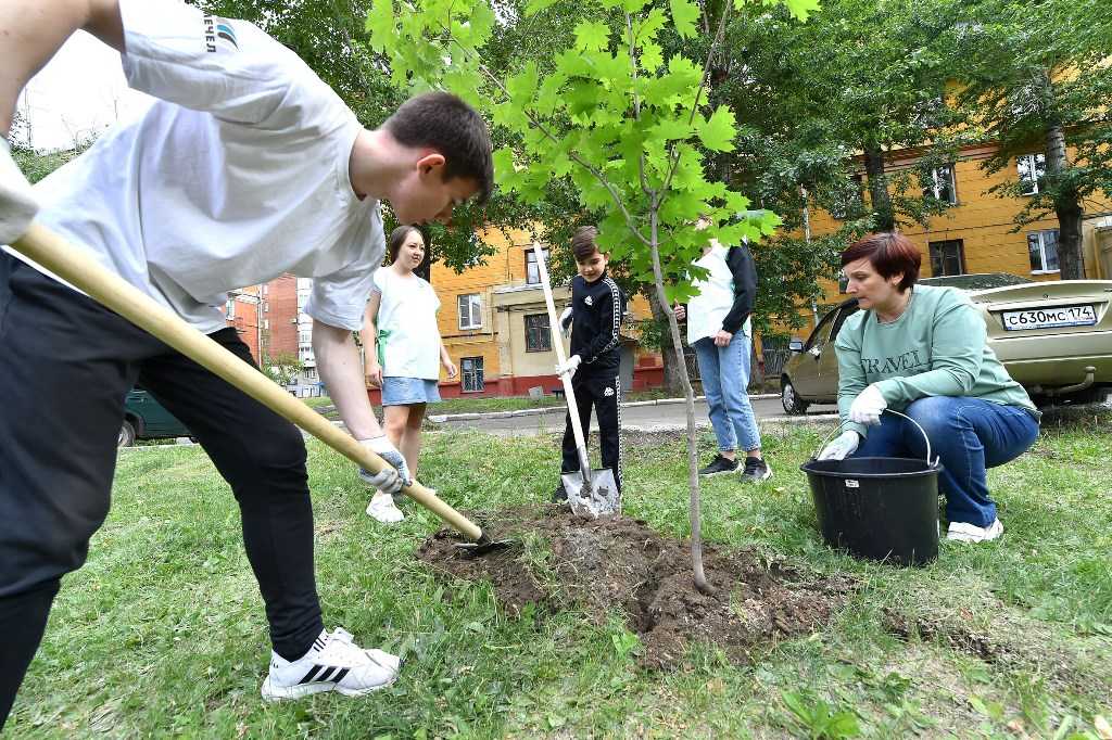 ЧМК и волонтеры-экологи продолжают озеленение Челябинска