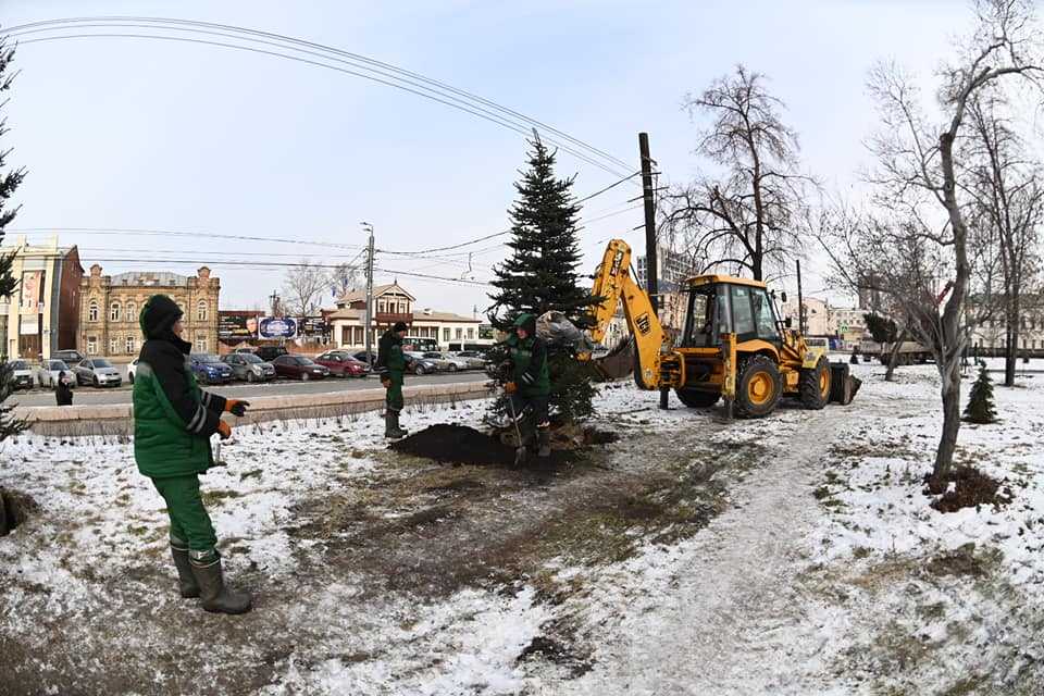 Челябинский агроном назвал абсурдной идею зимнего полива деревьев