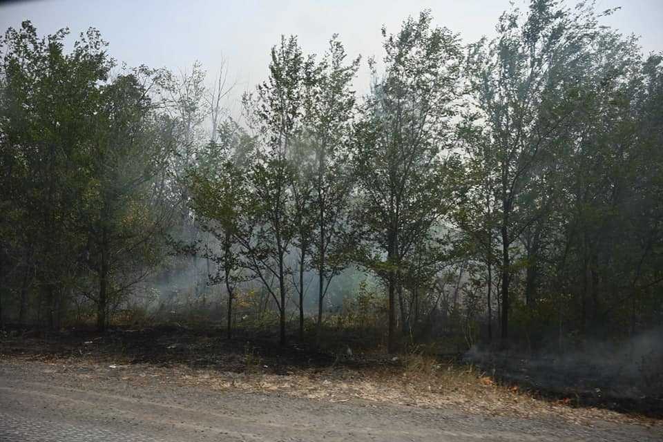 Алексей Текслер поручил восстановить сгоревшие дома на юге Челябинской области