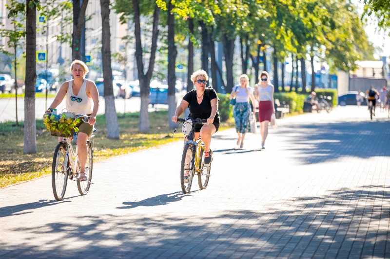 В Челябинске до конца года разработают проект сети велодорожек