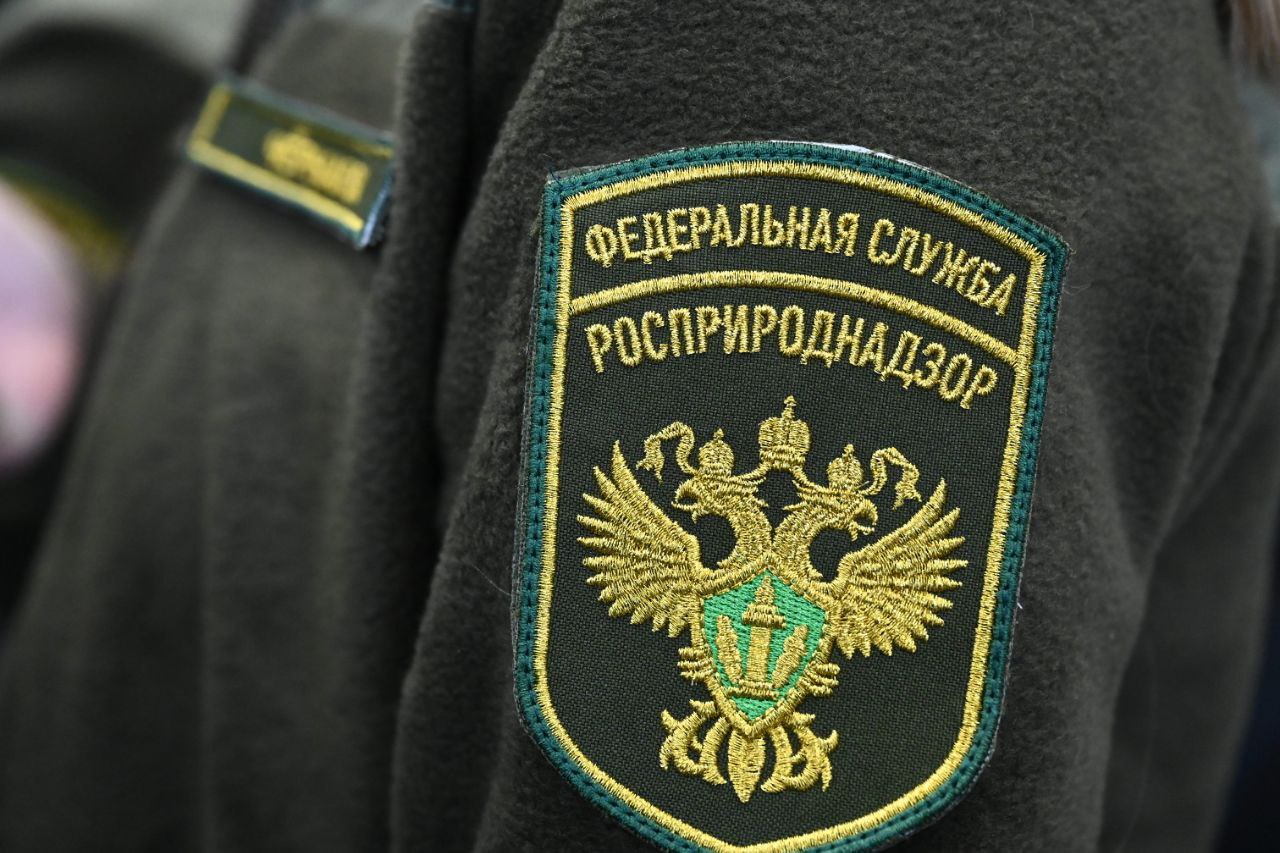  Какие инстанции отвечают за экологию в Челябинской области и куда южноуральцы могут обратиться с жалобами