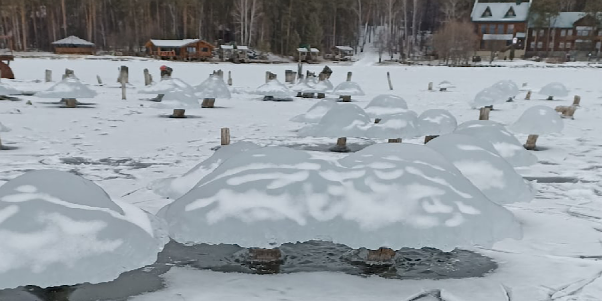 На южно-уральском озере выросли «ледяные грибы»