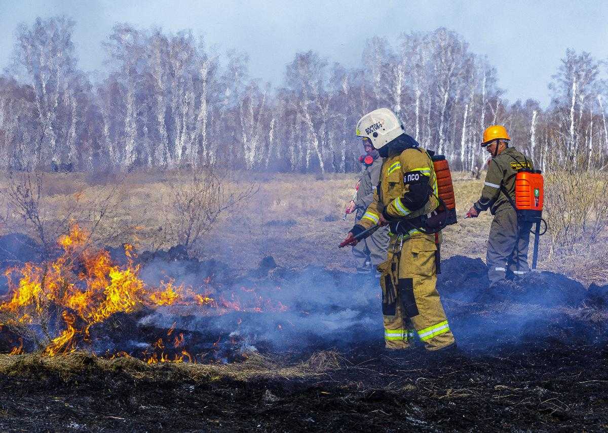 На Южном Урале выросло число нарушителей правил пожарной безопасности