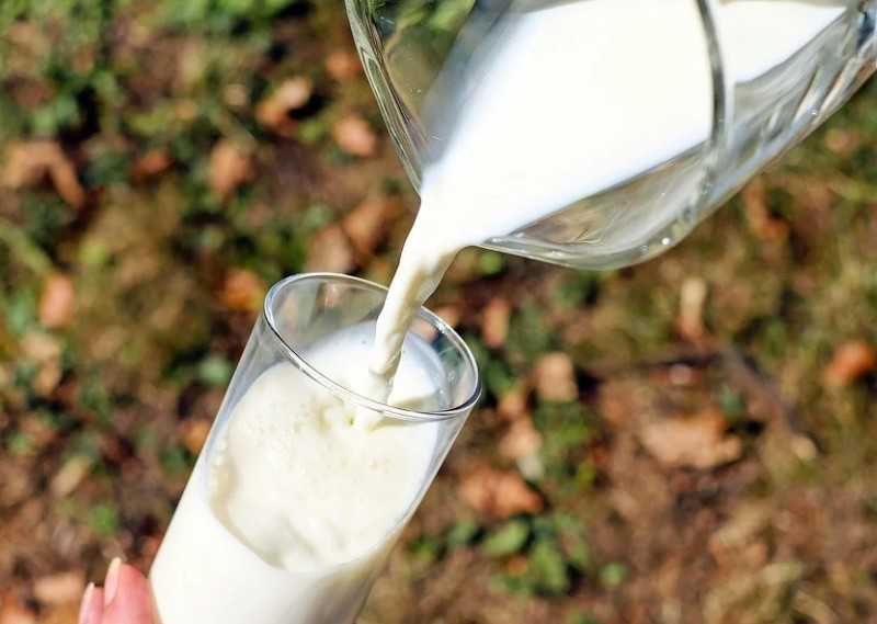 Челябинец предрек общероссийский рост цен на молоко