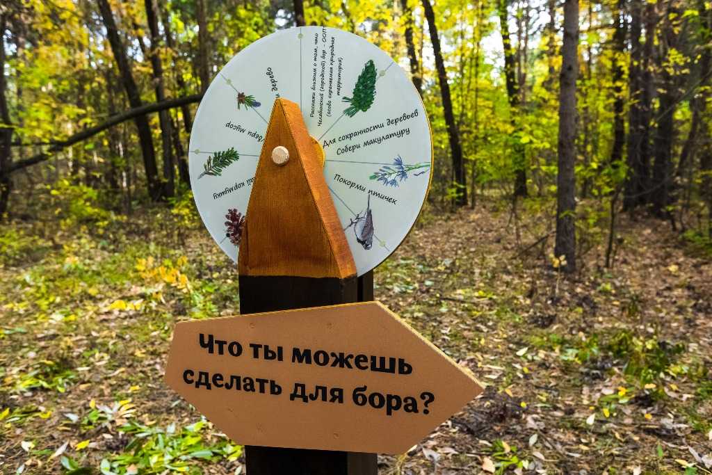 ТОП-5 причин улучшения экологической ситуации на Южном Урале