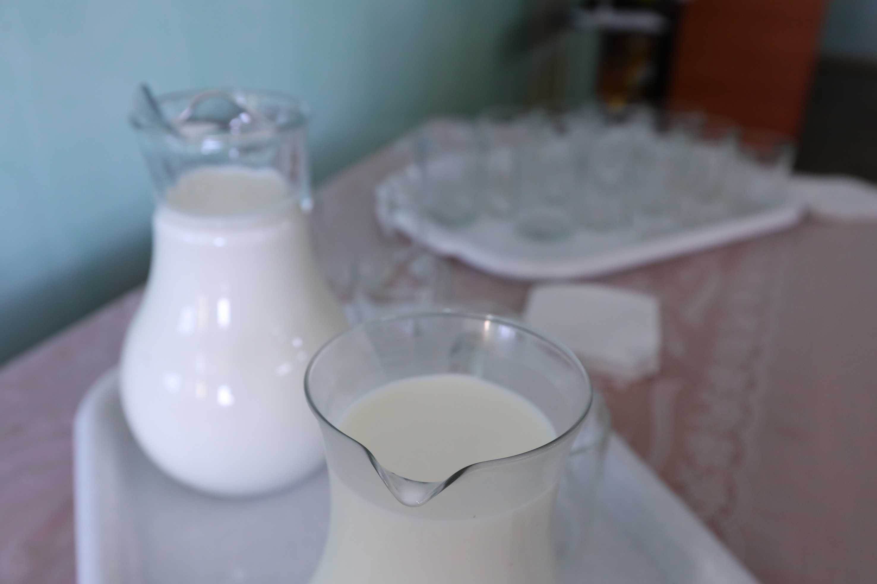 Челябинские эксперты советуют укреплять иммунитет молочными продуктами
