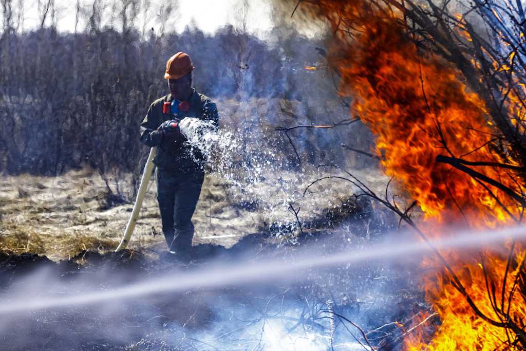 В Челябинске произошел пожар в Каштакском бору