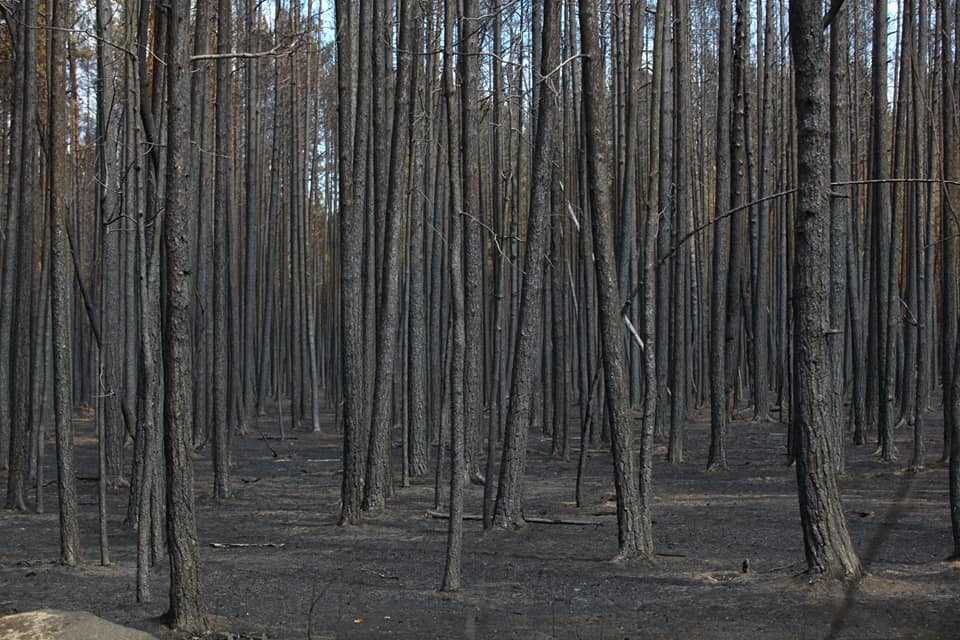 На юге Челябинской области ликвидированы природные пожары
