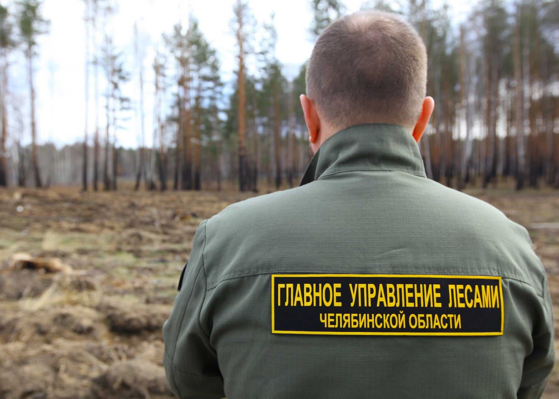 В Челябинской области могут ввести высший класс пожароопасности