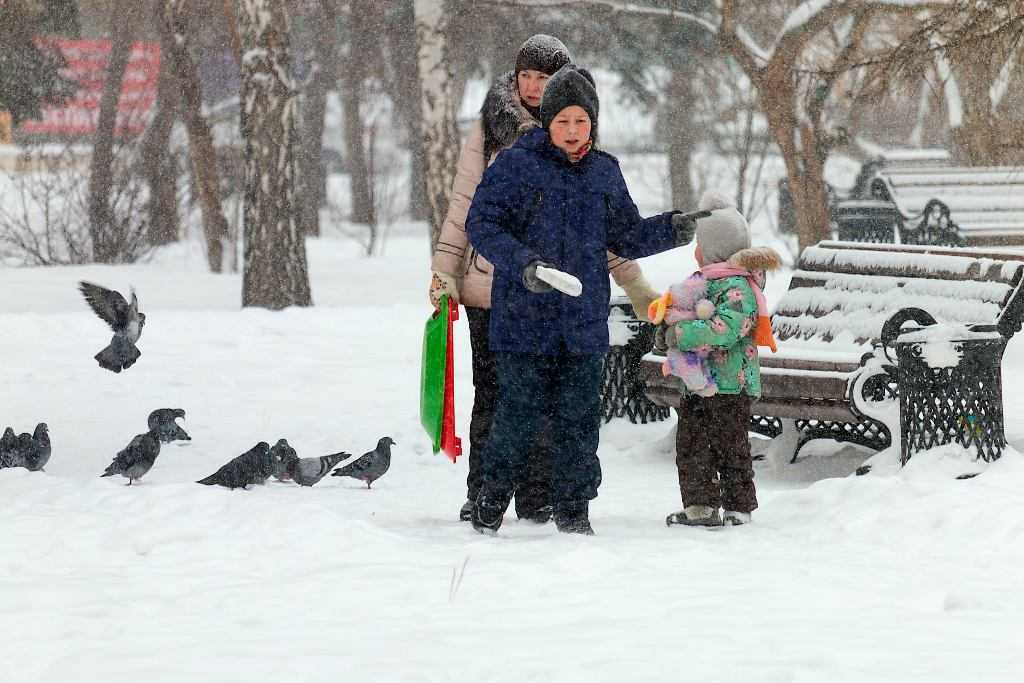 Отмена занятий 19 января в школах челябинска