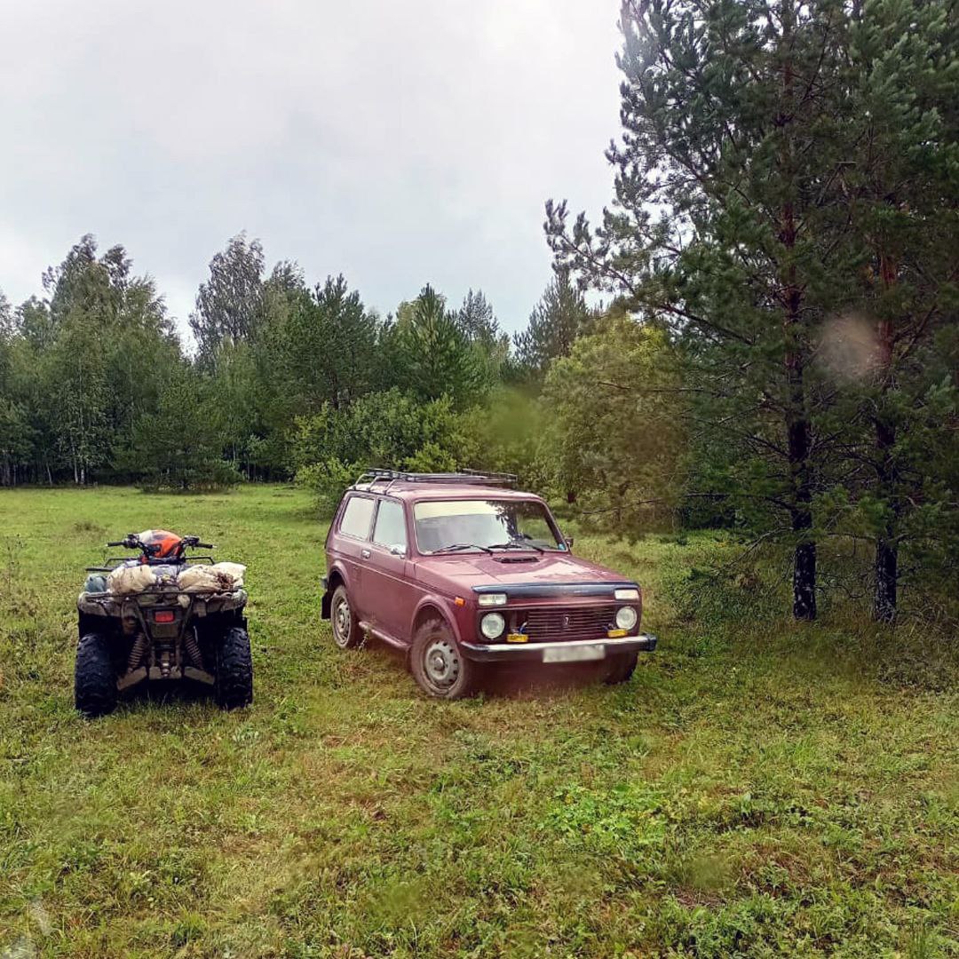 В Усть-Катаве в лесу обнаружен автомобиль с трупом грибника | 31.08.2023 |  Челябинск - БезФормата