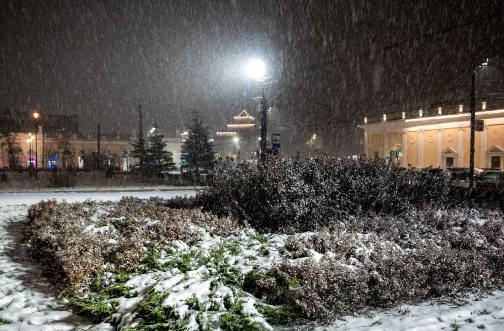 photo_2023-10-29_00-07-32 (2).jpg