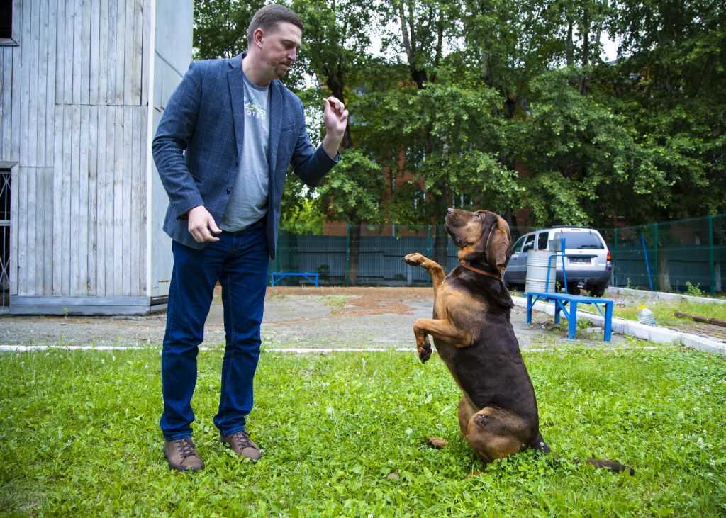 18_Поисково спасательная служба_Боровикова Юлия.jpg