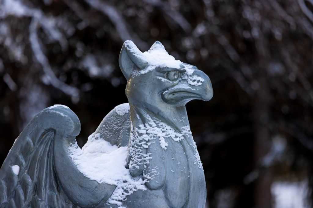 photo_2023-12-15_09-35-50 (2).jpg