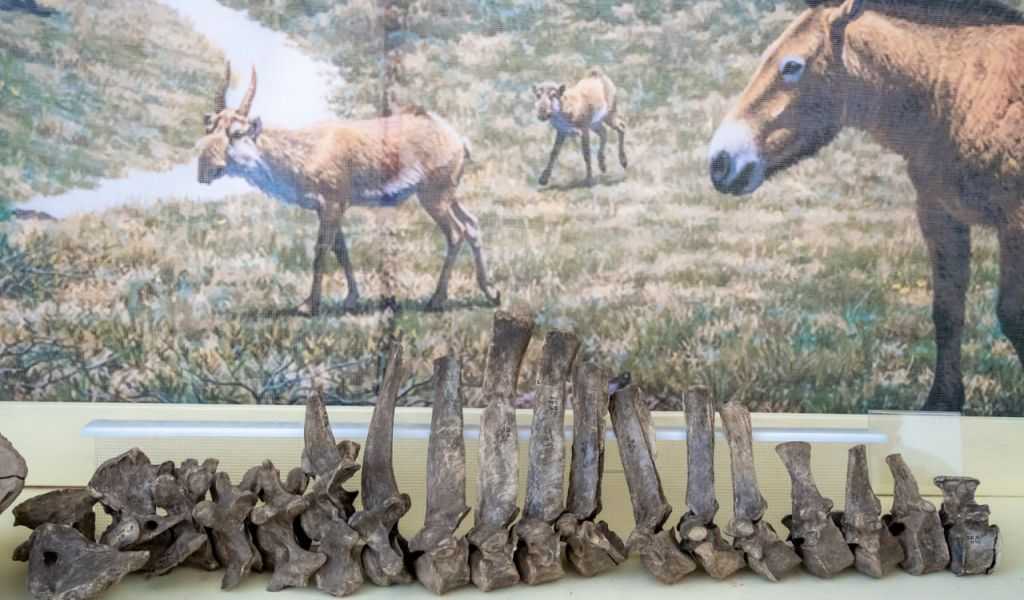 photo_2023-06-15_15-47-01 (3).jpg