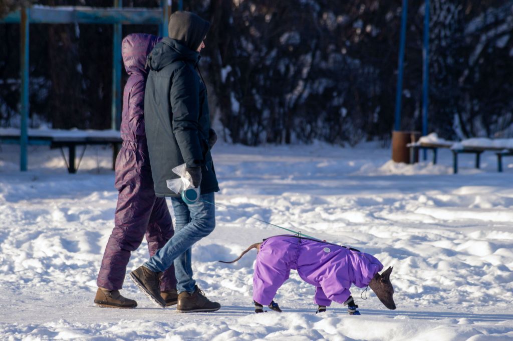 DSC00175 Куткин.jpg