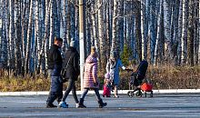 Новые путинские выплаты получат 32 тысячи родителей-одиночек на Южном Урале