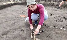 В Челябинской области обнаружили могилу младенца эпохи Аркаима