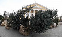 В Челябинске подвели итоги рекордного озеленения