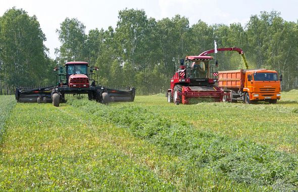 Южноуральские аграрии за год экспортировали продукции на 259 миллионов долларов