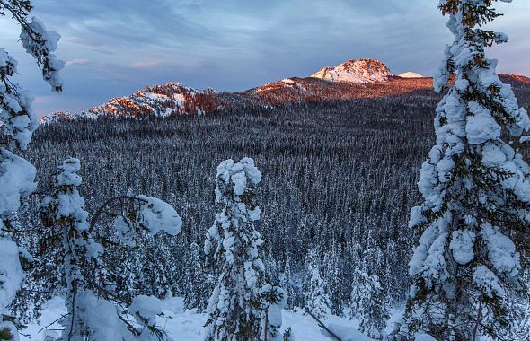 Сказочные виды зимнего Таганая в объективе челябинского фотографа