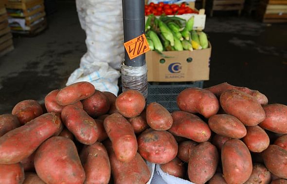 В Челябинской области собрали больше половины урожая картофеля