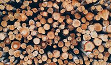 Южноуральскую древесину смогут выгодно продать  на бирже