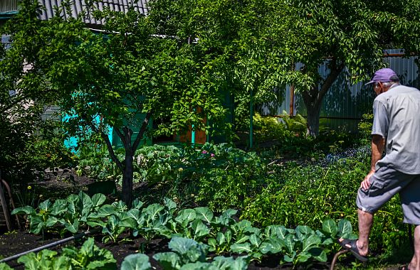 Огородник Олег Телепов объяснил, как легко подготовить компост на садовом участке