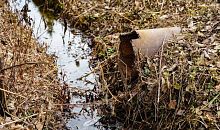 Рейтинг южноуральского мэра подпортили нечистоты в памятнике природы