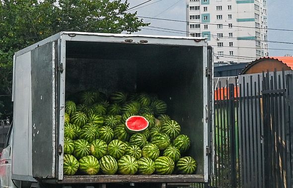 Челябинские таможенники запретили ввоз дынь и арбузов из Казахстана