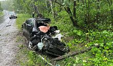 На Южном Урале водитель разбился насмерть, столкнувшись с деревом