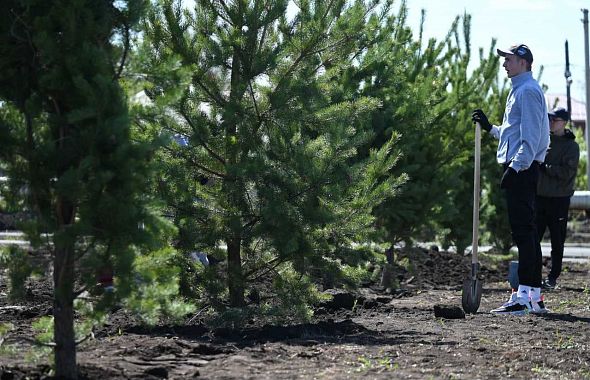 В Челябинской области расширили рамки Дня посадок леса