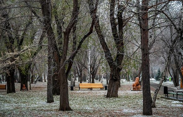 Синоптики прогнозируют заморозки в Челябинской области