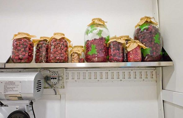 Пирожки, которыми угощали в XIX веке в особняке Яушевых, до сих пор готовят в Челябинске