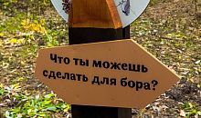 В Москве предложили сделать Челябинск пилотом по учету участия жителей в экологических решениях
