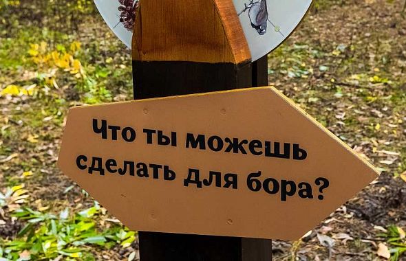 В Москве предложили сделать Челябинск пилотом по учету участия жителей в экологических решениях