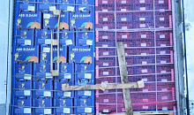 Две тонны нелегальных апельсинов пытались вывезти из Челябинской области