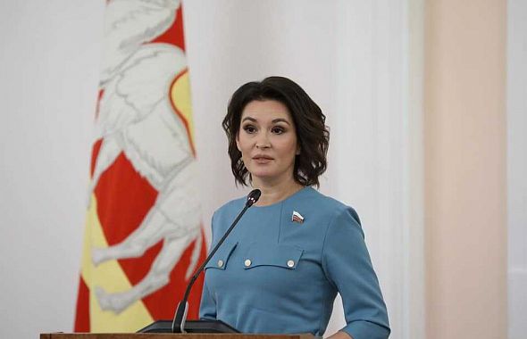 Челябинский сенатор займется соцзащитой военнослужащих