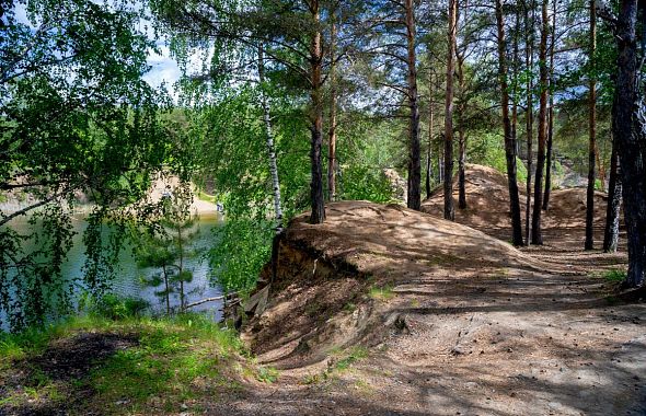 Южноуральцы столкнулись с необычным природным явлением – рост деревьев по кругу