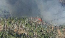 Крупный лесной пожар подпалил рейтинг южноуральского мэра