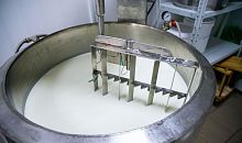 Молочный завод из Златоуста предоставлял фейковые декларации о продукции