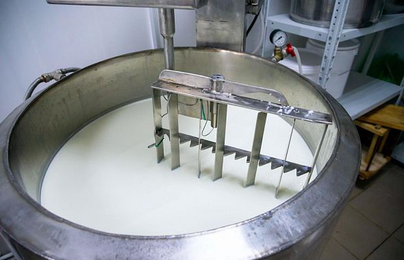 Молочный завод из Златоуста предоставлял фейковые декларации о продукции