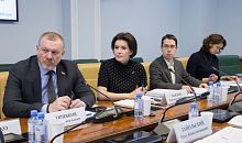 Челябинский сенатор повлияет на выдачу квартир детям-сиротам